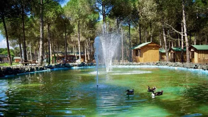 Samsun’un yeni turizm merkezi: Çarşamba Orman Park