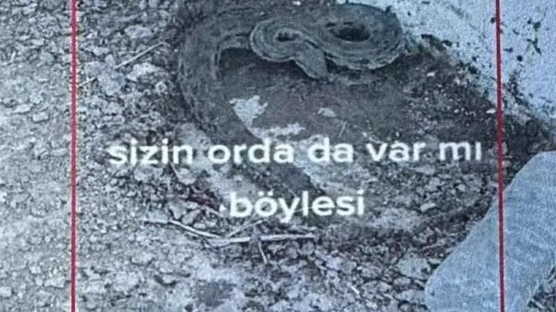 Iğdır'da engerek yılanlarını yakalayıp videosunu paylaşan çobana 5 bin 500 lira ceza