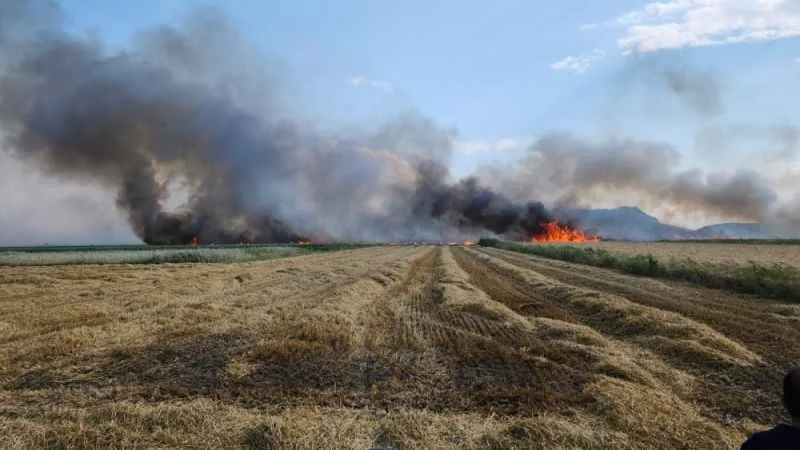 Burdur’da 800 dekar tarım arazisi yangında küle döndü