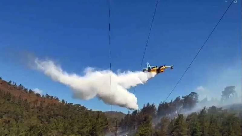 Muğla’da 3 saatte 6 yangın