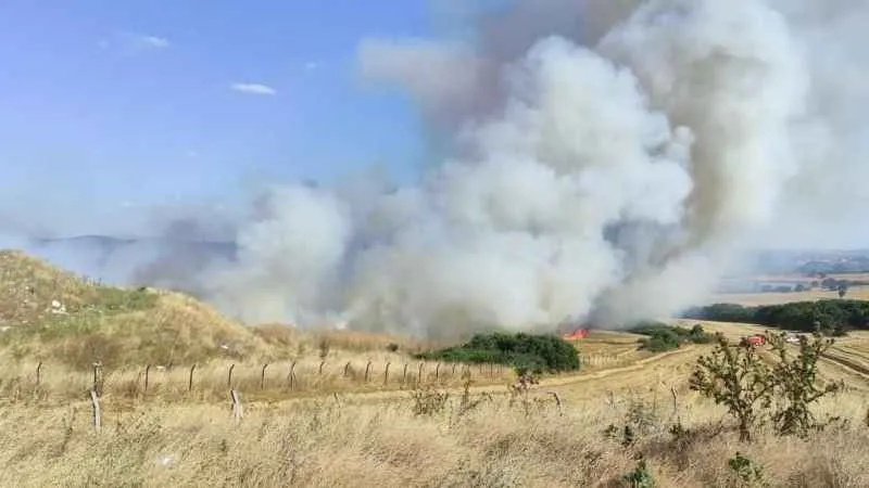 Keşan'da tarla yangınında 2 bin dönüme yakın arazi küle döndü