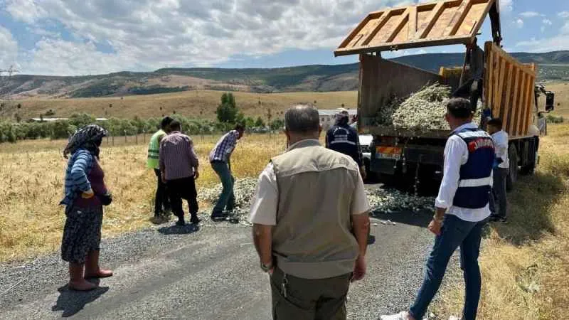 İzinsiz pamuk dikeni toplayan şahsa 244 bin lira para cezası