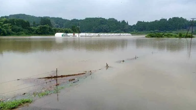 Japonya’da toprak kayması: 1 ölü