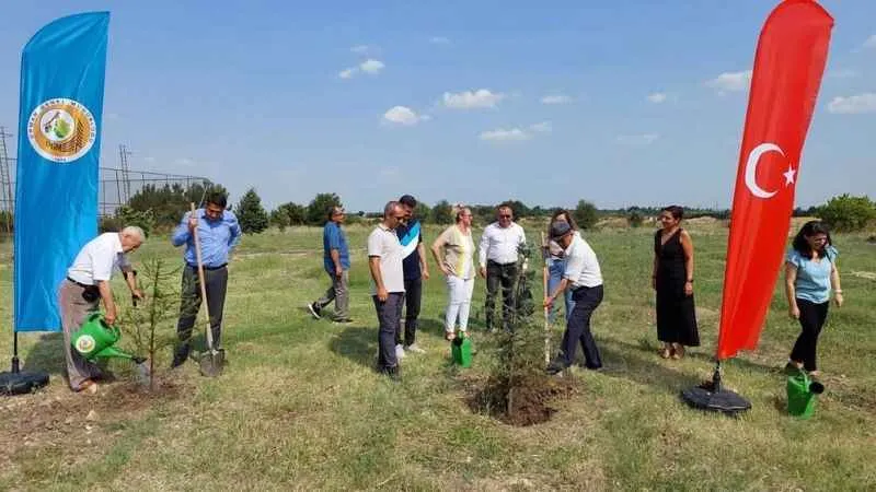 Edirne'de 15 Temmuz şehitleri anısına hatıra ormanı oluşturuldu