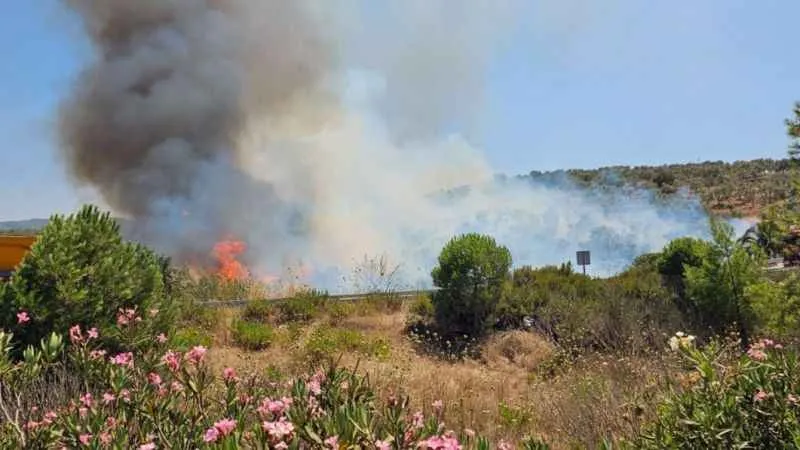 Bodrum Havalimanı kavşağında yangın