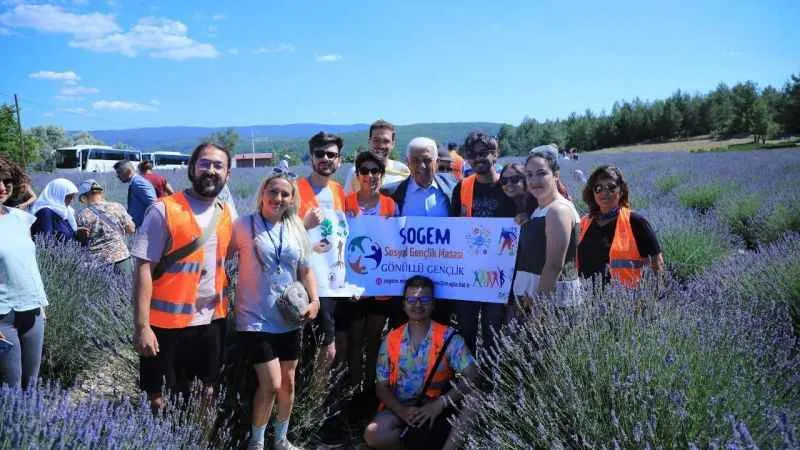 Koku Vadisi’nde Lavanta şenliği