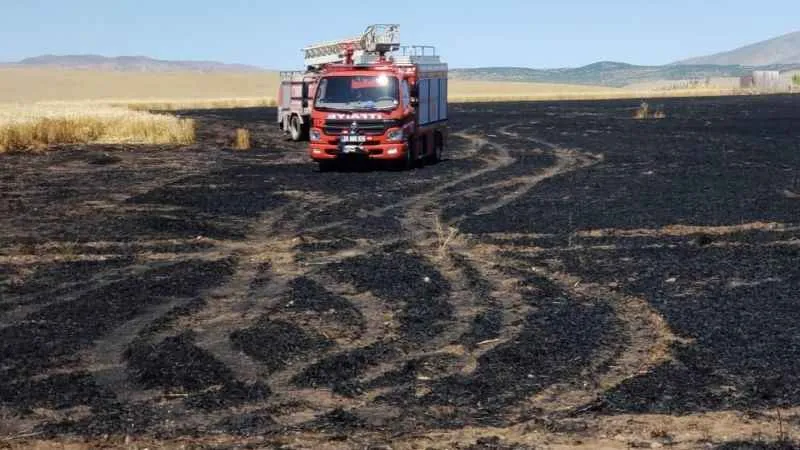 Elazığ'da trafodan çıkan kıvılcım 70 dönümlük ekili alanı kül etti
