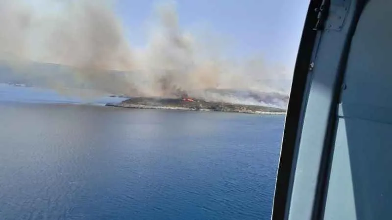 İzmir'deki orman yangınında gözaltına alınan şüpheliler serbest bırakıldı