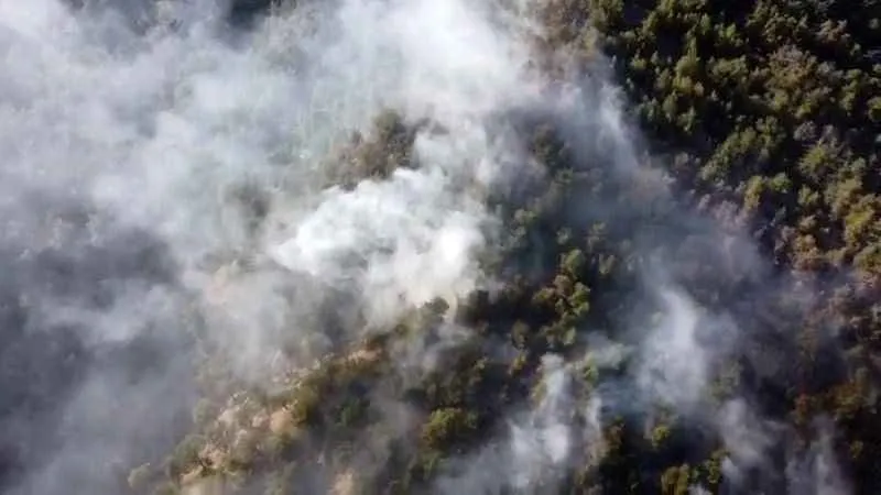 Bolu'da çıkan orman yangınında 5 hektarlık alan küle döndü
