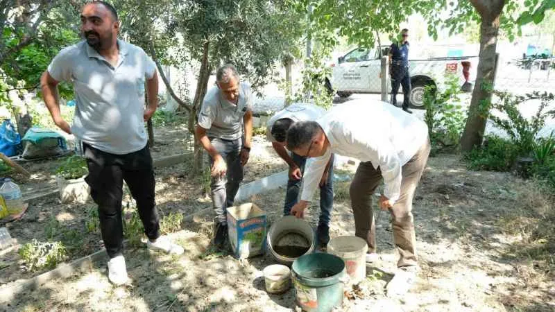 Sivrisinek sebebiyle hastanelere başvurular arttı