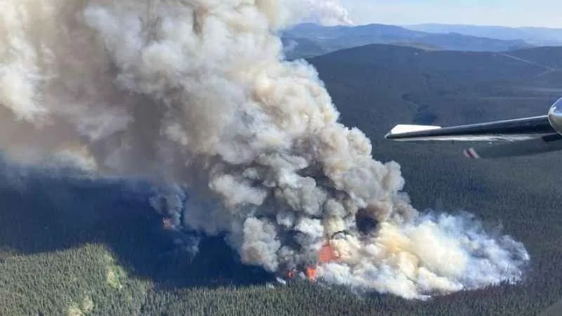 Kanada’da orman yangınları kontrol altına alınamıyor