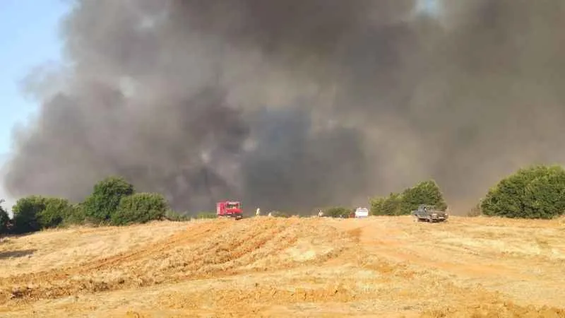 Tekirdağ’daki orman yangınıyla ilgili 2 kişi gözaltına alındı