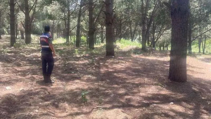 Jandarma ekipleri orman yangınlarına karşı teyakkuzda