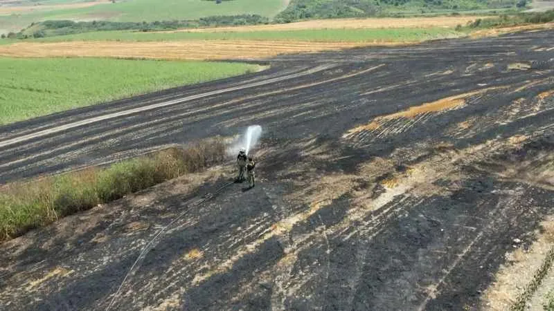 Arnavutköy’de 20 dönüm buğday tarlası küle döndü