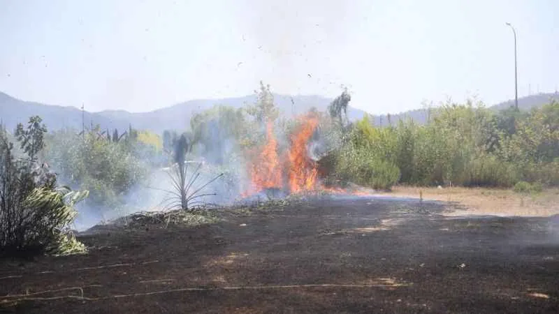 Fethiye'de otluk ve sazlık alanda çıkan yangın söndürüldü