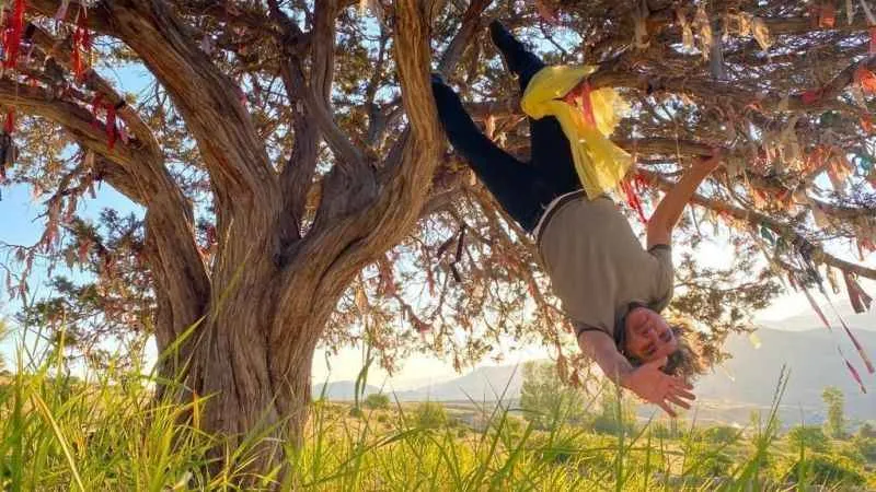 Profesörden orman yangınlarına ilginç protesto