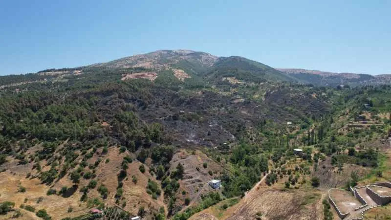 Kahramanmaraş’ta yanan 15 hektar alan dron ile görüntülendi