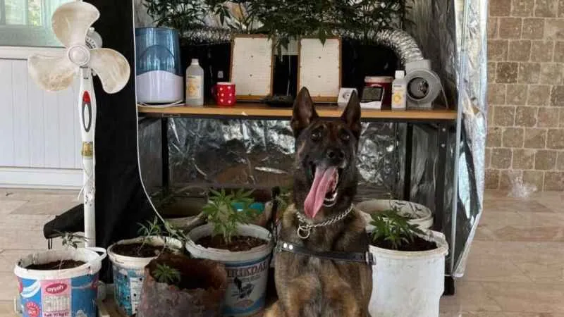 Denizli’de uyuşturucu imalathanesine operasyon