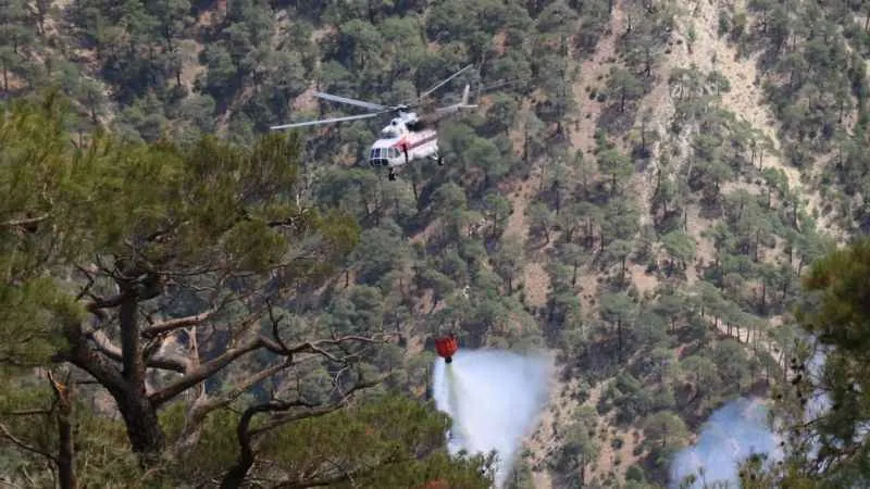 Bolu'da 15 hektarlık alan küle döndü