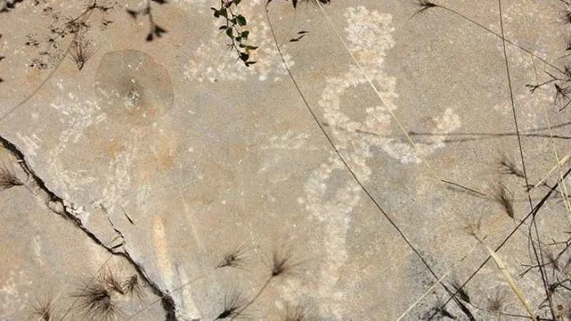 Kaya resimlerine büyük ilgi