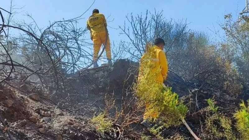 Osmaniye'de orman yangını, büyümeden söndürüldü