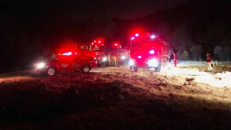 Adana'daki orman yangını kontrol altına alındı