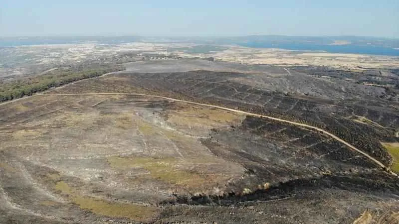 Çanakkale’de 3 bin 500 futbol sahası büyüklüğünde alan yandı