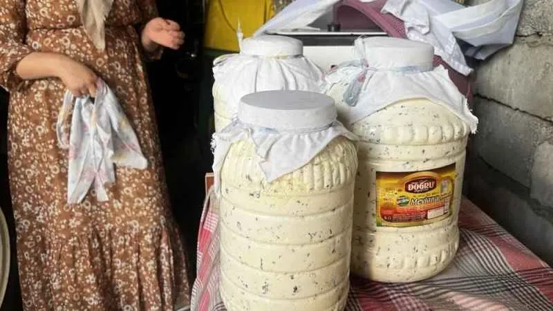 Doğal yollarla üretilen peynirler kışın tüketilmek üzere toprağa gömülüyor