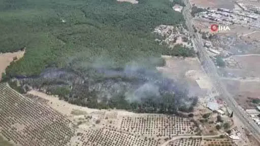 İzmir’de orman yangını