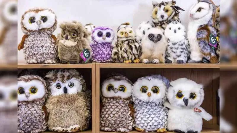 Baykuşu görenlerin IQ’su 150 imiş! Sadece 4 saniyeniz var…