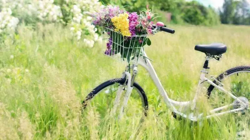 Baharda alerji ve deri hastalıkları kol geziyor