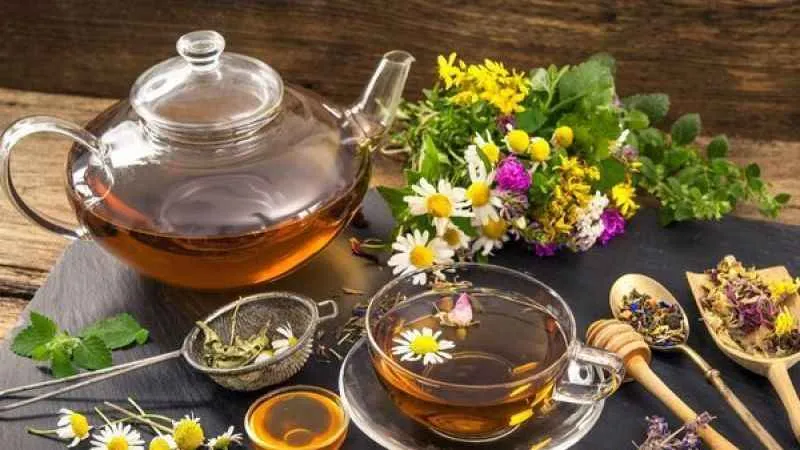 Hastalıklara karşı doğal koruma sağlayan bitki çayları