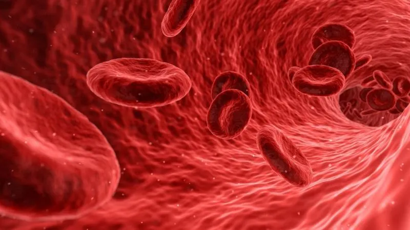 Kendi Kanınızla Şifa Bulabilirsiniz!