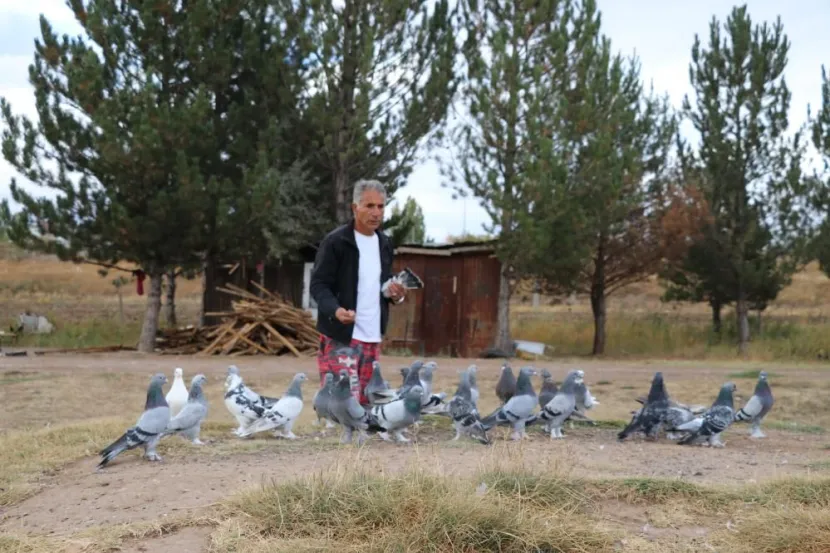 Bu kuşların tanesi 600 bin TL