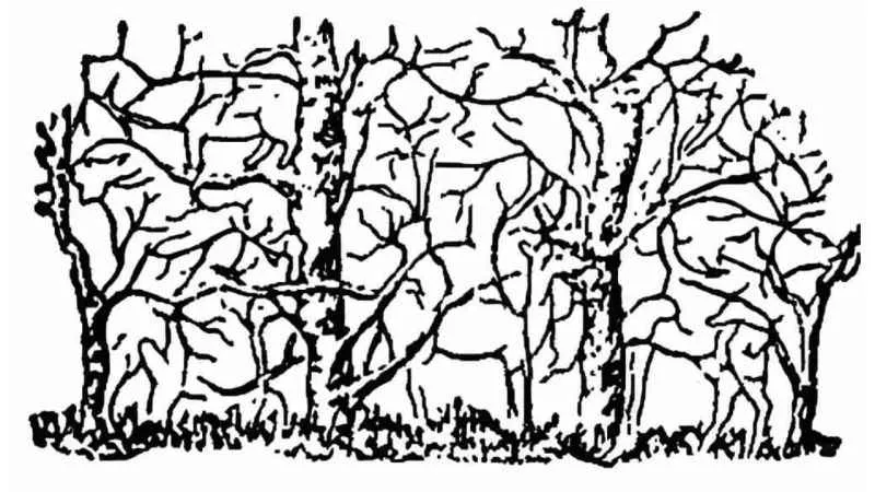 Bu resim çok karmaşık: Siz zürafayı bulabildiniz mi?