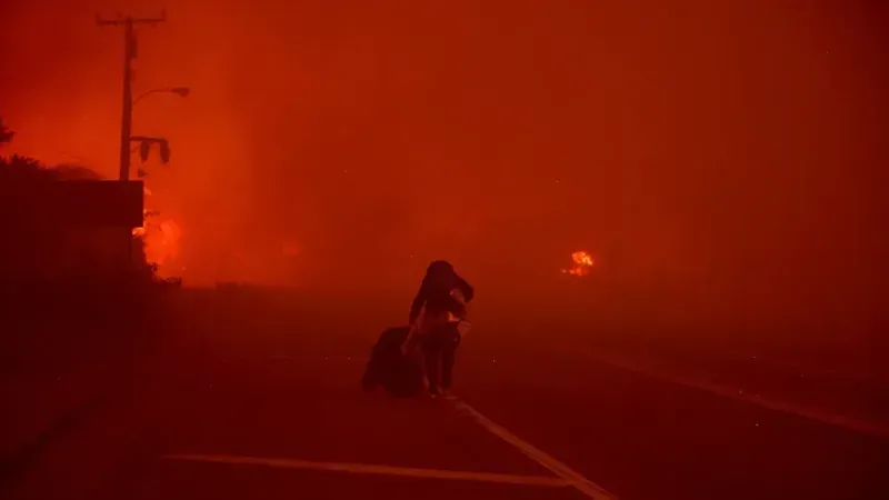 California’da etkili olan yangın 4 dönüm araziyi kül etti