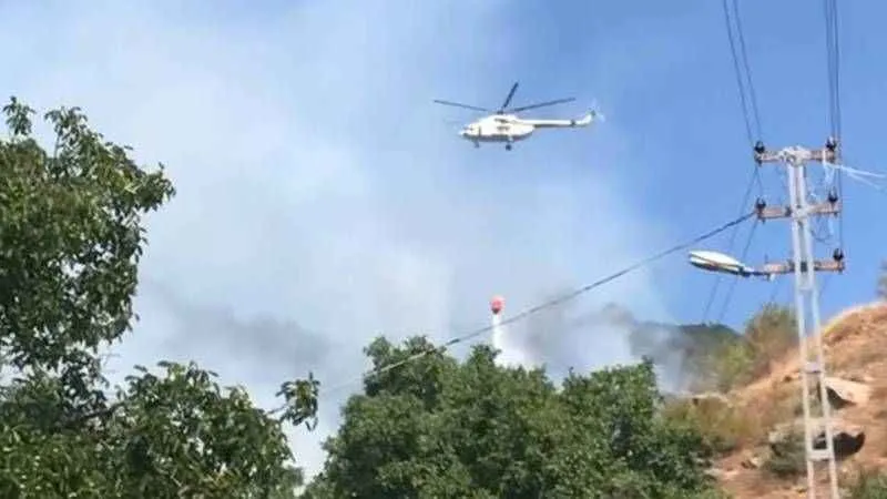 Çankırı'da orman yangını