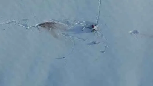 Afganistan'da aranan iki kişinin cansız bedeni bulundu