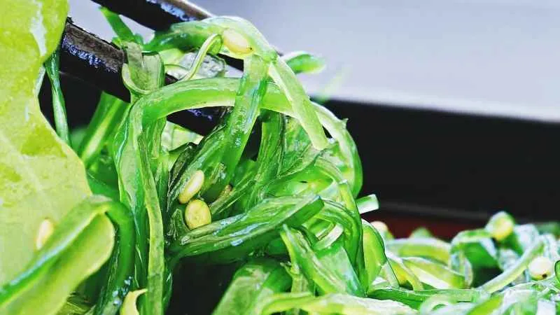 Nükleer kış sonrası insanlığın besini deniz yosunu olacak