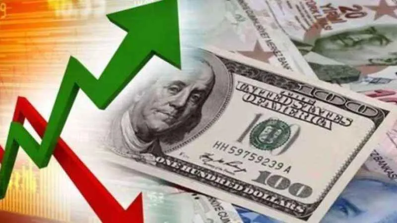 Piyasanın yıl sonu beklentilerinde dolar geriledi, enflasyon arttı