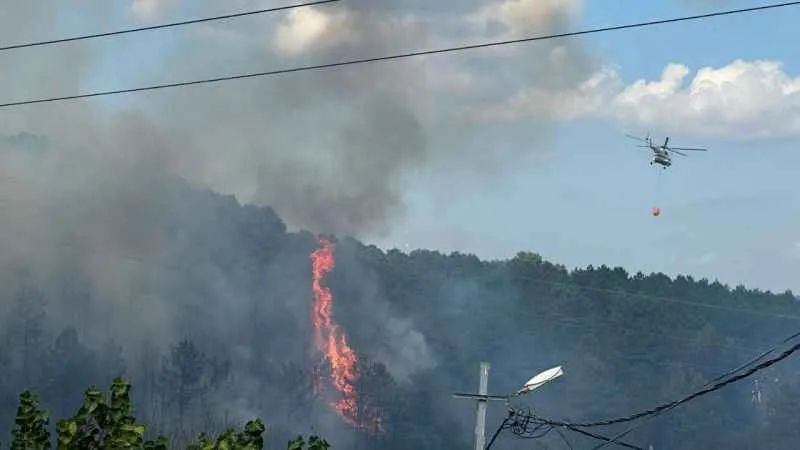 Sultangazi'de orman yangınında kundaklama iddiası
