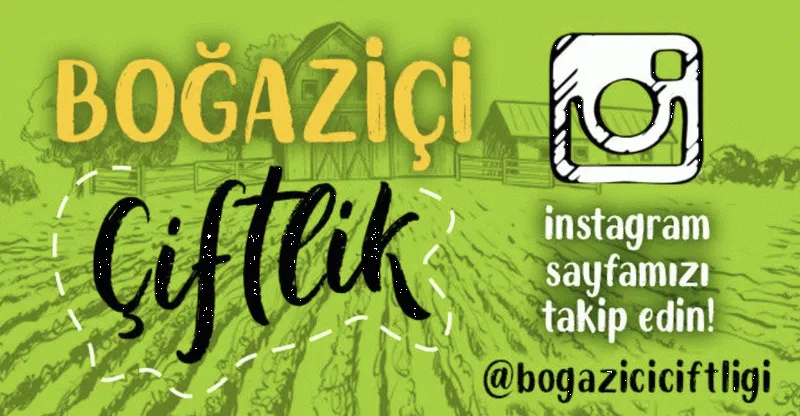 Köy Tavuğu ve Organik Besinler