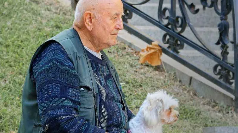 Evcil hayvan sahiplenmek, demans riskinden koruyabilir