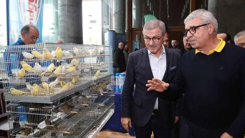 Eyüpsultan’da renkli kanarya festivali