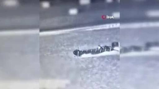 İsrail: "Hamas'ın denizden sızma girişimi engellendi"