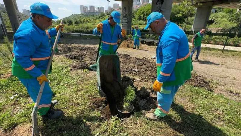 Başakşehir’in ‘Fidan Üretim Merkezi’ Türkiye’ye nefes olacak