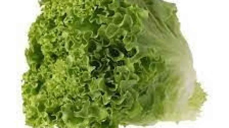 İşte kıvırcığın uzun süre saklanabileceği tüyolar