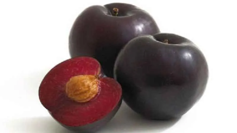 Sıcaklarda kara erik hoşafı ile serinleyin 