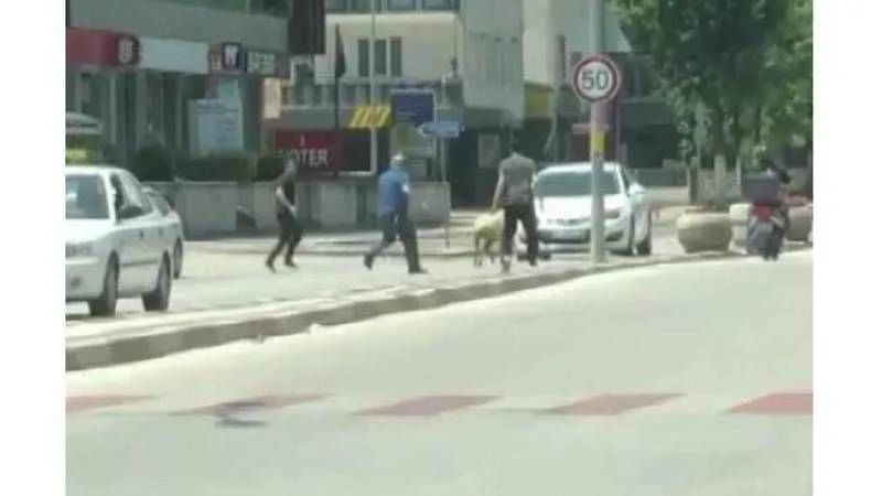 Bursa’da sahibinden kaçan koyun trafiği birbirine kattı