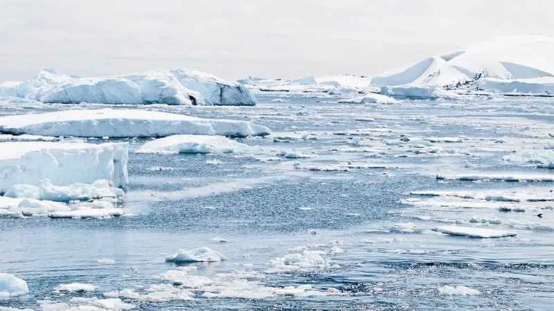 Karbon emisyonları 6 yıl içinde güvenli sınırları aşacak!